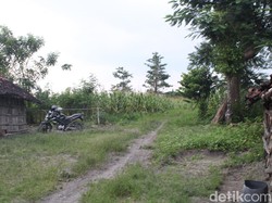 Tersisa 2 Keluarga, Hutan di Ngrawoh Blora Tenyata Sempat Dihuni 23 KK