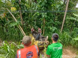 Laka Maut Truk-Motor Masuk Jurang Kulon Progo, Warga: Suara Keras Banget