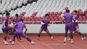 Timnas Vietnam Tiba di Jakarta, Langsung Geber Latihan