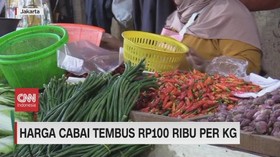 VIDEO: Harga Cabai Naik, Petani Tersenyum Lebar