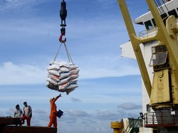 Antisipasi El Nino, RI Bakal Impor 2 Juta Ton Beras dari 4 Negara
