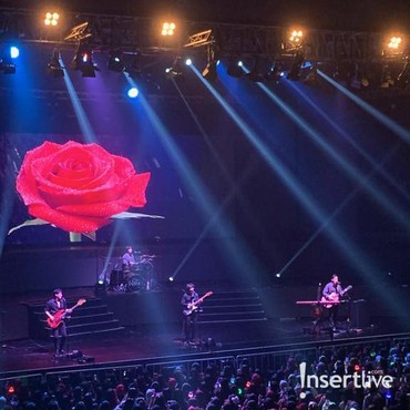 Lirik Lagu Black Rose - The Rose