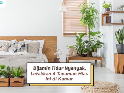 Dijamin Tidur Nyenyak, Letakkan 4 Tanaman Hias Ini di Kamar