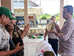 Festival Durian Sukabumi Menyisakan Kekecewaan Peserta