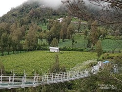 Bromo sedang Genit-genitnya, Bromo pun Bersolek