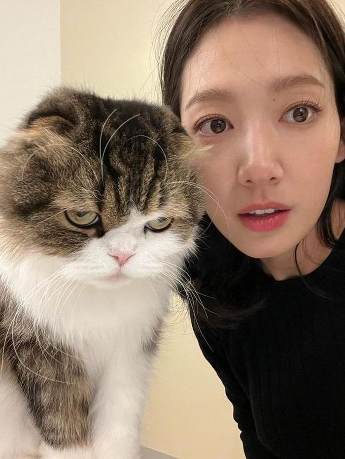 Super gemas! Park Shin Hye dalam postingan terbaru, menyapa fans dengan berfoto kompak dan dibuat 'speechless' kucingnya. /Foto: IG @ssinz7