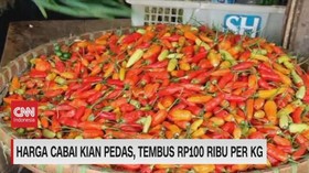 VIDEO: Harga Cabai Kian Pedas, Tembus Rp100 Ribu Per Kg