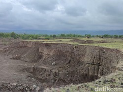 Savana Tianyar yang Bau Tai Sapi Itu Memang Bagus, tapi...