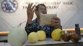 Baby Hikapel, Saat Melon Jadi Sekecil Apel
