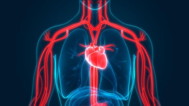 Ini Kebiasaan Terburuk yang Berisiko Menyumbat Pembuluh Darah