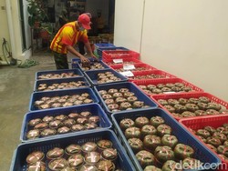 Lebih Wangi! Kue Keranjang Bungkus Daun Pisang Laris Jelang Imlek