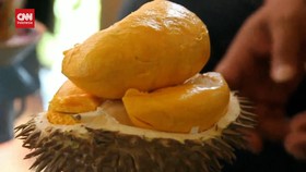 VIDEO: Menikmati Manisnya Durian Emas di Jember Jawa Timur