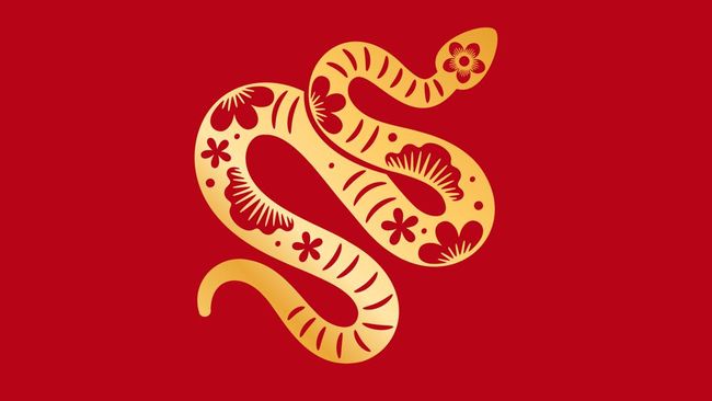 Pada tahun 2023, orang dengan Shio Ular diprediksi bakal berhadapan dengan banyak masalah. Simak ramalan lengkap Shio Ular di tahun 2023 berikut ini.