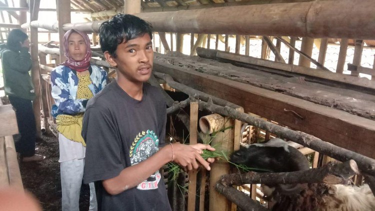Kabar Baik Keluarga Bu Enung yang Mulai Berternak Domba untuk Cari Nafkah Kabar baik datang dari Keluarga Bu Enung. Anak-anak Bu Enung yang sebelumnya berharap penghasilan dari pekerjaan pencari batu, sekarang mulai beternak domba.