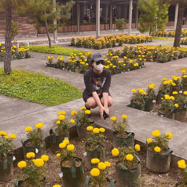 <p>Di laman LinkedIn milik Shania, ia juga tercatat pernah magang di Dinas Pariwisata Kota Yogyakarta. Ia juga pernah menjalani bidang wedding event planner, seni, hingga research. (Foto: Instagram @shaniagudono)</p>