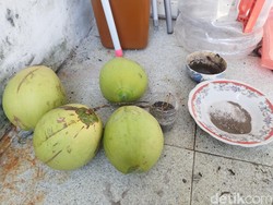 Ritual Ngeri Dukun Gadungan Gresik Pakai Darah Manusia untuk Makan Jenglot
