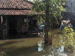 Banjir Sejak Akhir Tahun, Sejumlah Wilayah di Demak Masih Tergenang