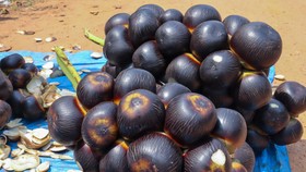 8 Manfaat Buah Lontar, Cegah Dehidrasi hingga Penyakit Jantung