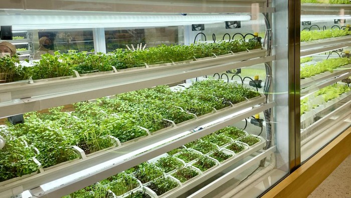 GREENS Hyperlocal Metafarming Station di Plaza Indoensia