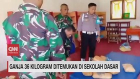 img-title VIDEO: Ganja 36 Kilogram Ditemukan di Sekolah Dasar