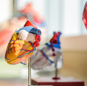 4 Tanda Awal Tubuh Sebulan Sebelum Serangan Jantung