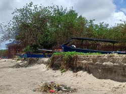 Bali Sepekan: Viral Foto Mesum Sulinggih-WNA Protes Ayam Berkokok
