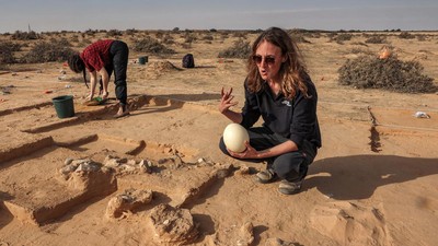 Arkeolog Temukan Telur Burung Unta Berusia 7.500 Tahun di Israel