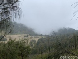 Pendakian Gunung Butak: Jalur, Daya Tarik, Tiket Masuk, dan Waktu Tempuh