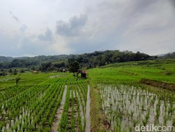 Pesona dan Keunikan Desa Ciuyah Sumedang