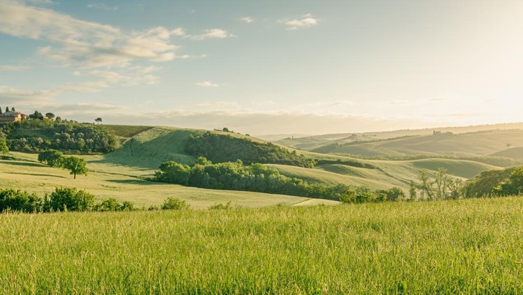 Beautiful view of the spring landscape in Tuscany, Italy.