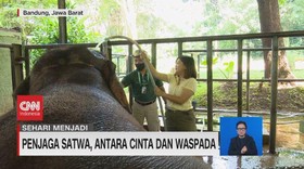 VIDEO: Penjaga Satwa, Antara Cinta dan Waspada