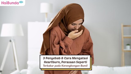 Detik Network
