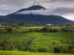 Ngototnya Koster Larang Turis Mendaki Gunung di Bali