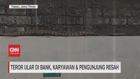 VIDEO: Teror Ular Di Bank, Karyawan & Pengunjung Resah