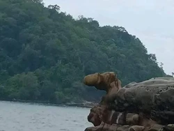 Heboh Batu Penis dari Sukabumi Diulas Media Asing, Konon Buat Vitalitas