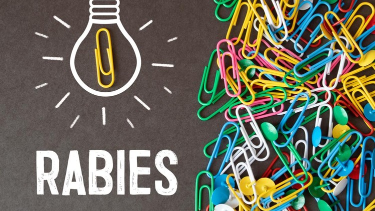 Ilustrasi rabies
