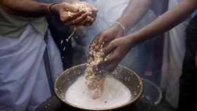 FOTO: Memasak Pongal, Nasi Manis untuk Dewa-Dewi