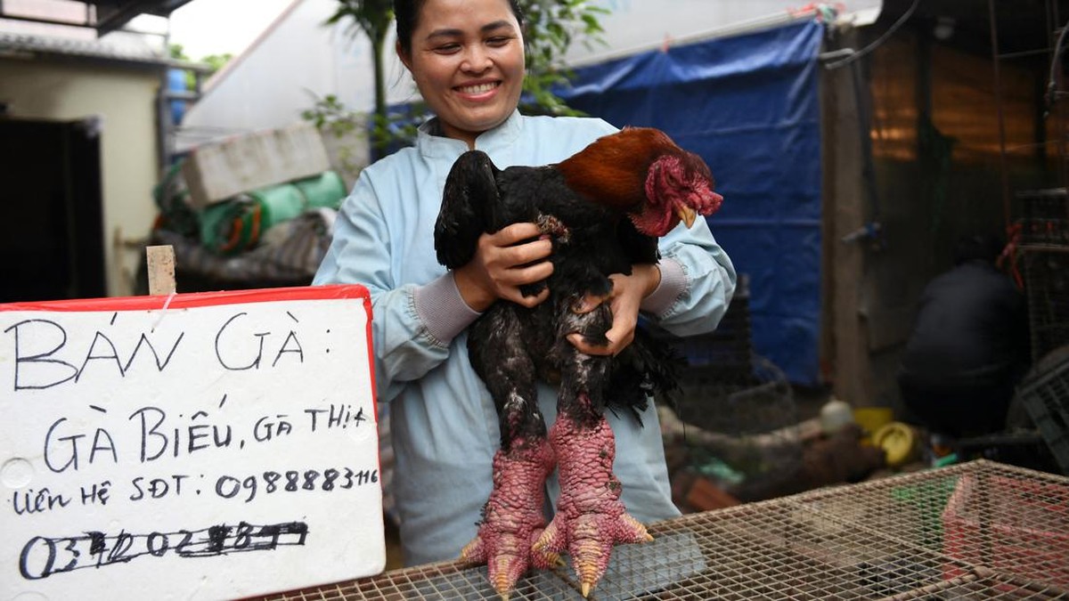 FOTO: Ceker Ayam Setebal Batu Bata, Sajian Khas Imlek di Vietnam