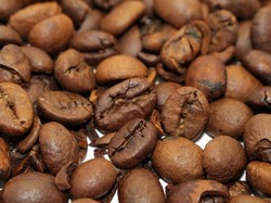 Menikmati Kopi Toraja yang Raih Bronze Medal di Australia