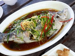 Ikan Kakap Kukus Bumbu Soya yang Lembut Gurih untuk Sajian Keluarga