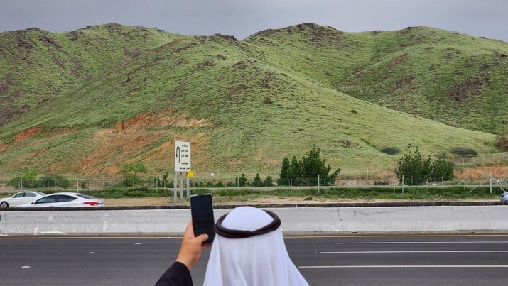 Seorang warga mengambil foto bukit yang menghijau setelah hujan deras di Mekkah, Arab Saudi pada 16 Januari 2023. Seorang warga mengambil foto bukit yang menghijau setelah hujan deras di Mekkah, Arab Saudi pada 16 Januari 2023. (Photo by Hani Alshaer/Anadolu Agency via Getty Images)