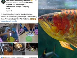 Ikan Arwana Rp 5 Juta Digoreng Sang Anak, Pria Ini Hanya Bisa Pasrah