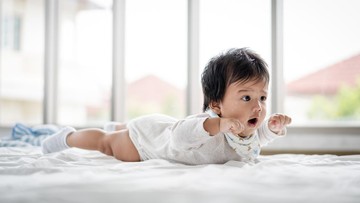 BAYI USIA 2 MINGGU HINGGA 6 BULAN