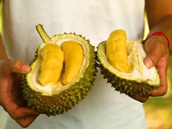 5 Lokasi Makan Durian Enak di Bali yang Harus Anda Coba