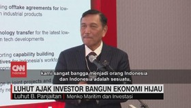 VIDEO: Luhut Ajak Investor Bangun Ekonomi Hijau
