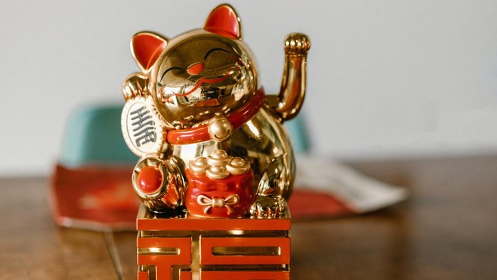 Biar Makin Cuan, Shio Kelinci Bisa Lakukan 5 Hal Ini untuk Tingkatkan Keberuntungan di Tahun 2023