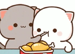 Cara Membuat Sticker WA yang Bergerak, Ternyata Mudah!