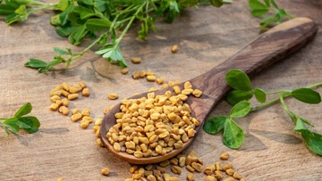 EFEK SAMPING KONSUMSI FENUGREEK UNTUK IBU MENYUSUI
