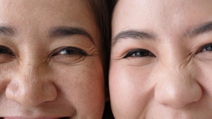 Ilustrasi Hidung
