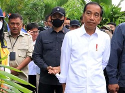 Cerita Jokowi Soal Awal Pandemi COVID-19: WHO Bingung, Kita Juga